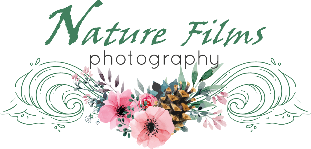 Nature Film Photography